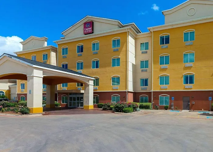 Comfort Suites University